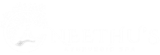 Neethu's Spa
